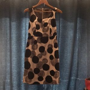 Ann Taylor Dress
